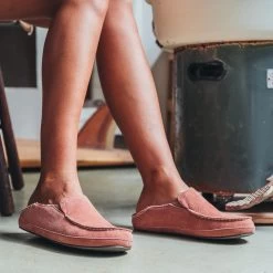 New Release -Trend Shoe Shop 20269 WCWC 101